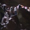 Cueva de Montesinos